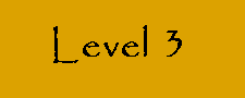 Level 3